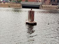 bilder/galerie/sommer23/innenhafen 22062023 (3).jpg